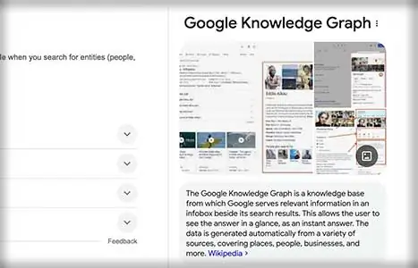 Zero Click Knowledge Panel example